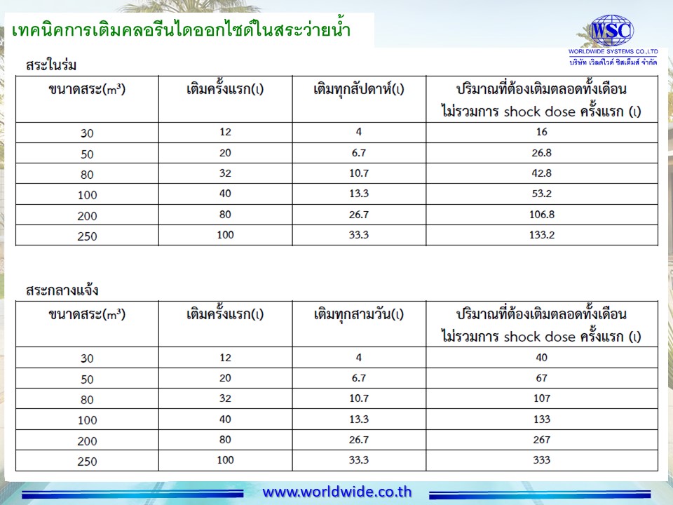 Slide12